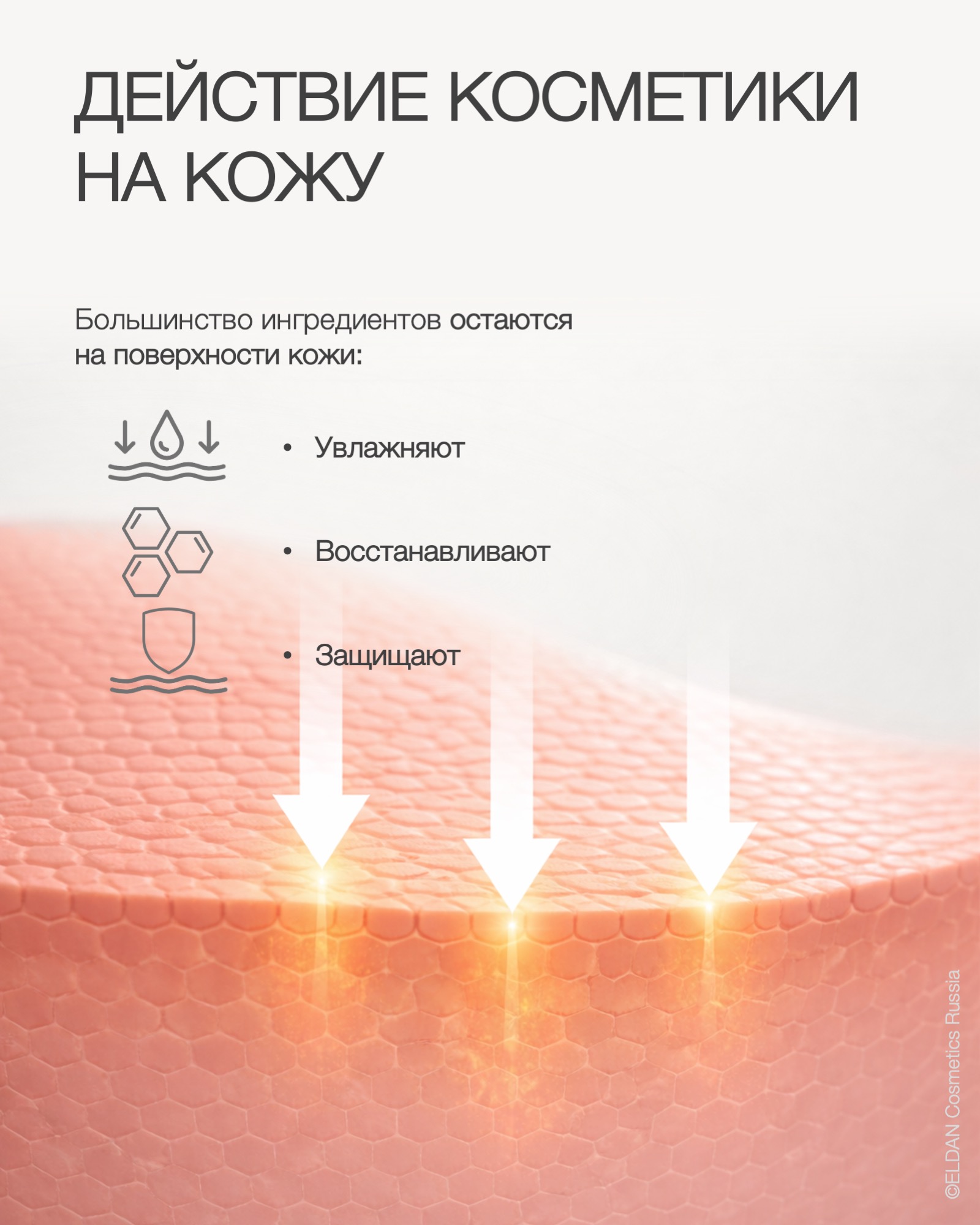 Пост распознавание активов 3.jpg